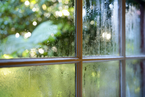 USA, Hawaii, Big Island, Volcano, view through fogged window pane - BRF000920