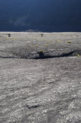 USA, Hawaii, Big Island, Volcanoes National Park, Boden des Kraters Kilauea Iki - BRF000925