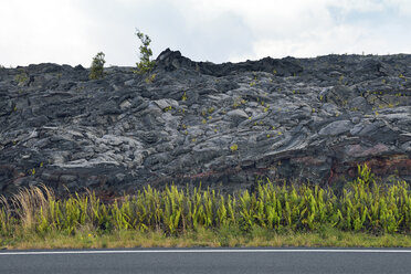 USA, Hawaii, Big Island, Volcanoes National Park, Chain of Craters Road in front of plants lava field - BRF000935