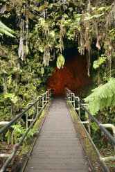 USA, Hawaii, Big Island, Volcanoes National Park, Eingang von Nahuku, Thurston Lava Tube - BRF000946