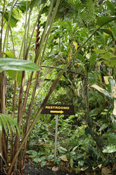 USA, Hawaii, Big Island, Papaikou, direction sign in the rain forest - BRF000965