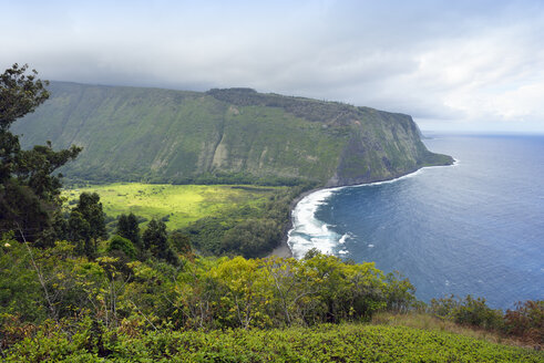 USA, Hawaii, Big Island, Blick auf Waipio Valley und Bucht - BRF000972