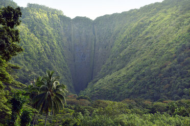 USA, Hawaii, Big Island, Waipio Valley, ausgetrocknete Kakeha Falls - BRF000974