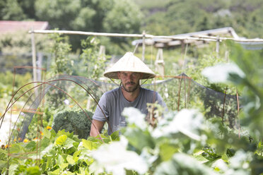 Gardener with Asian hat at work - ZEF004046