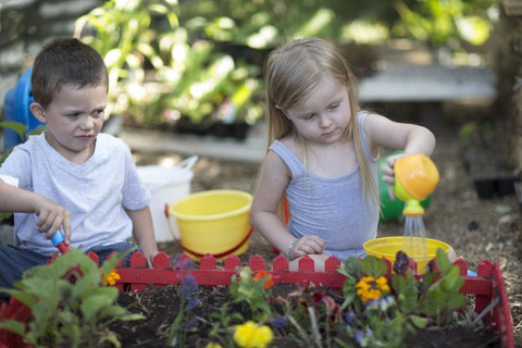 Kleiner Junge und Mädchen bei der Gartenarbeit und beim Gießen von Pflanzen, lizenzfreies Stockfoto