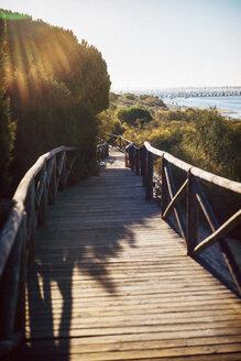 Spanien, Andalusien, Huelva, Promenade durch Naturpark bei Gegenlicht - EHF000029