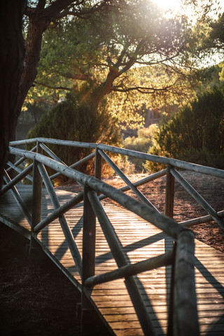 Spanien, Andalusien, Huelva, Holzpromenade durch Naturpark, lizenzfreies Stockfoto