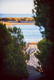 Spanien, Andalusien, Huelva, Blick auf das Meer durch Bäume - EH000051