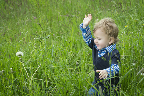 Toddler walking on summer meadow - JTLF000027