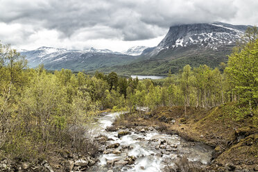 Norway, Nordland, Saltfjellet-Svartisen National Park, river - STSF000679