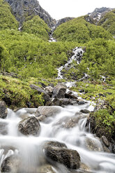 Norway, Nordland, Saltfjellet?Svartisen National Park, mountain stream - STSF000674