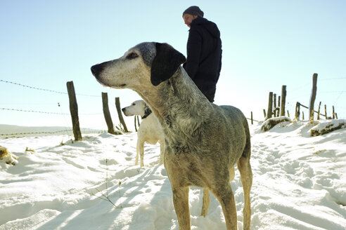 Deutschland, Bergisches Land, Mann führt Hunde in Winterlandschaft aus - ONF000737