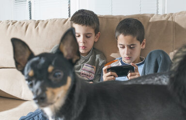 Zwei Jungen spielen mit ihren Smartphones, während der Hund im Vordergrund steht - DEGF000109