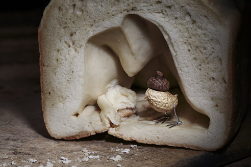 Peanut bird hiding in bread cave - NIF000028