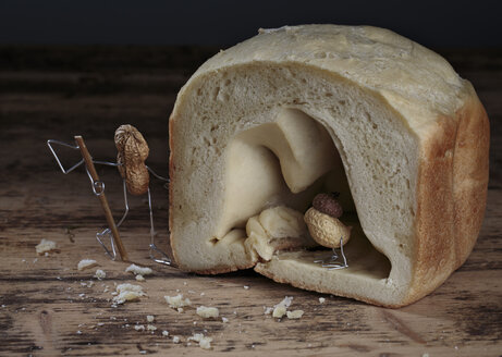 Peanut bird hiding in bread cave, hunter waiting outside - NIF000029