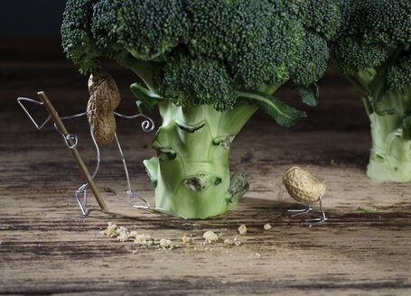 Peanut bird following bread crumbs, peanut man waiting behind broccoli tree - NIF000030