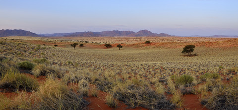 Afrika, Namibia, Namib-Wüste, Blick über das Namib Rand Naturreservat im Abendlicht, Panorama, lizenzfreies Stockfoto