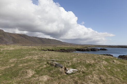 Island, Halbinsel Reykjanesskagi - ATAF000099