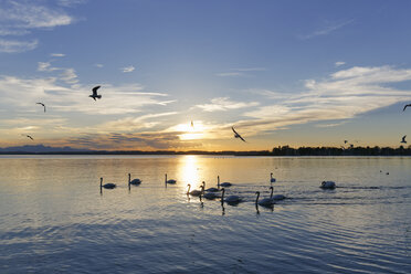 Deutschland, Bayern, Abend am Chiemsee - SIEF006341