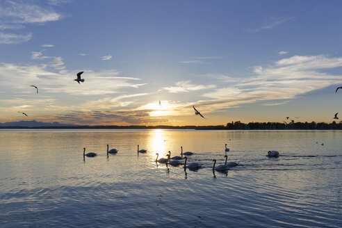 Deutschland, Bayern, Abend am Chiemsee - SIEF006341