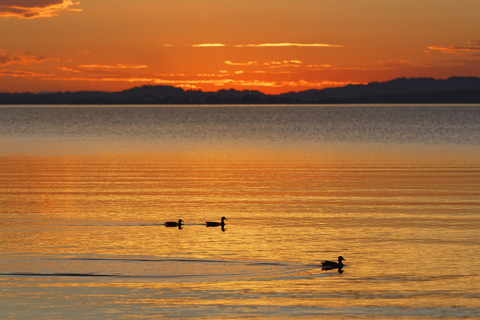 Deutschland, Bayern, Abend am Chiemsee, lizenzfreies Stockfoto