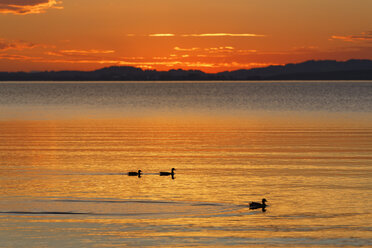 Germany, Bavaria, evening at Chiemsee - SIEF006342