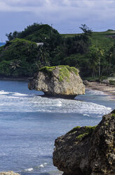 Karibik, Antillen, Kleine Antillen, Barbados, Bathsheba, Atlantikküste, Felsformation - THAF001120