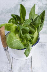 Pak Choi - ODF000981