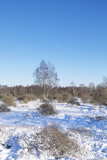 Belgien, Hohes Venn, Winterlandschaft - HLF000833