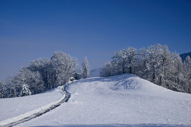 Germany, Kochel am See, snow-covered winter landscape - LAF001380