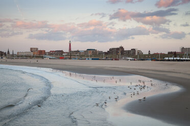 Niederlande, Den Haag, Scheveningen, Strand im Abendlicht - WIF001211