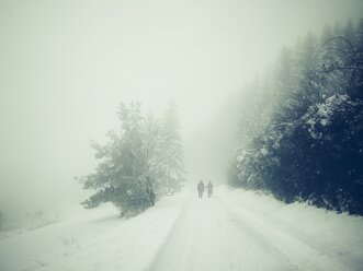 Germany, Constance district, winter landscape - ELF001431