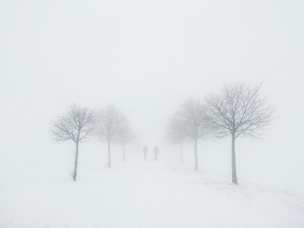 Deutschland, Landkreis Konstanz, Winterlandschaft - ELF001432