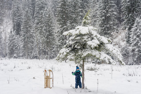 Deutschland, Bayern, Berchtesgadener Land, Junge mit Schlitten in Winterlandschaft - MJF001388