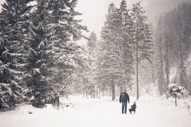 Deutschland, Bayern, Berchtesgadener Land, Vater und Sohn mit Schlitten in Winterlandschaft - MJF001414