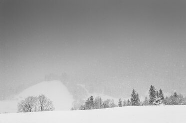 Deutschland, Bayern, Berchtesgadener Land, Winterlandschaft - MJF001392