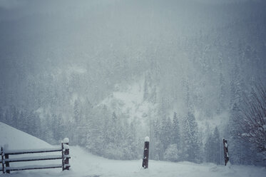 Germany, Bavaria, Berchtesgadener Land, winter landscape - MJF001397