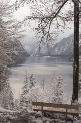 Germany, Bavaria, Berchtesgadener Land, Lake Koenigssee in winter - MJF001404
