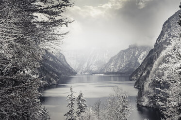 Deutschland, Bayern, Berchtesgadener Land, Koenigssee im Winter - MJF001405