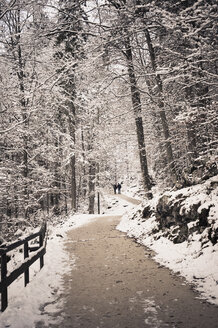 Deutschland, Bayern, Koenigssee, Waldweg im Winter - MJF001406