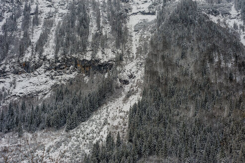 Deutschland, Bayern, Berchtesgadener Land, Felswand im Winter - MJF001409