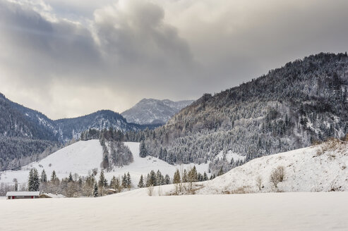 Deutschland, Bayern, Berchtesgadener Land, Winterlandschaft - MJF001410