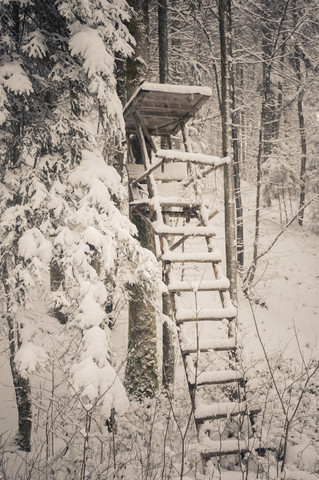 Germany, Bavaria, Berchtesgadener Land, raised hide in winter landscape stock photo