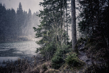 Deutschland, Bayern, Ramsau, Schneefall am Hintersee - MJ001437