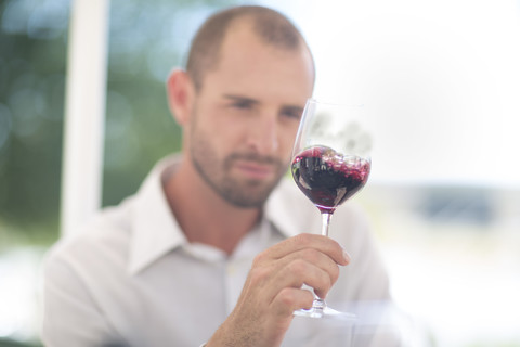 Mann untersucht Rotwein bei einer Weinverkostung, lizenzfreies Stockfoto