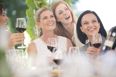 Women enjoying wine tasting session with red wine - ZEF003211