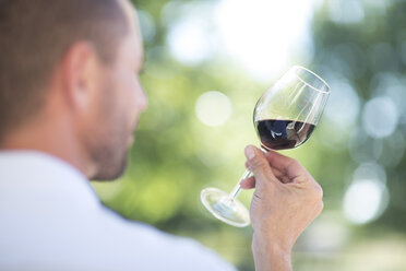 Mann untersucht Rotwein bei einer Weinverkostung - ZEF003217