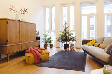 Modernes Loft-Wohnzimmer mit getopfter Blaufichte als Weihnachtsbaum - MFF001369