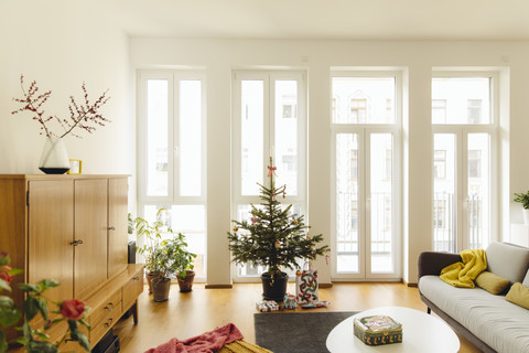 Modernes Loft-Wohnzimmer mit getopfter Blaufichte als Weihnachtsbaum, lizenzfreies Stockfoto