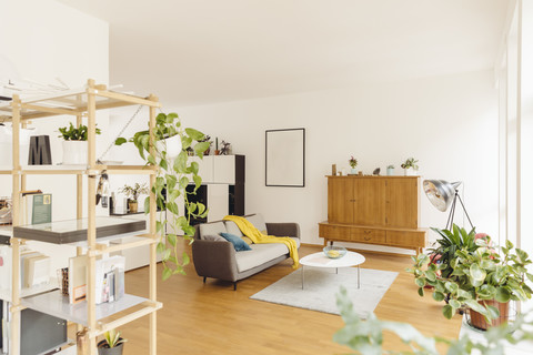 Wohnzimmer und Regal mit Pflanzen in einem modernen Haus, lizenzfreies Stockfoto
